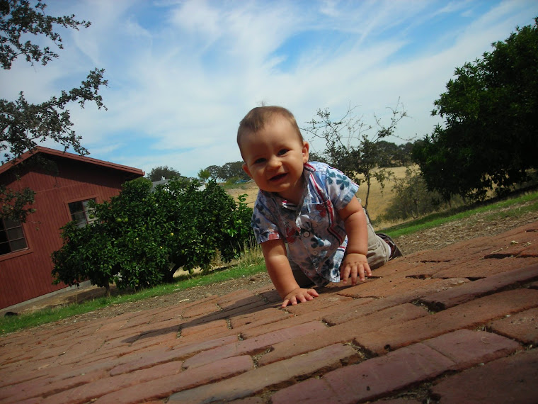 Bradyn Crawling