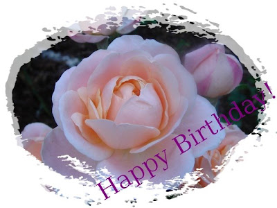 Bushcooks Kitchen Weinrallye 87 Winzerinnen Desiree Eser