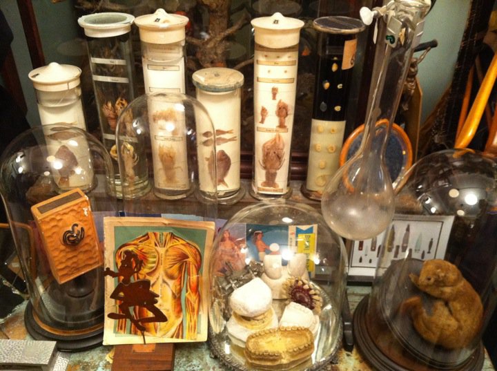 Obscura Antiques & Oddities