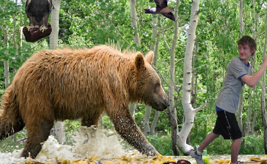 Nbp47 Running from bear!