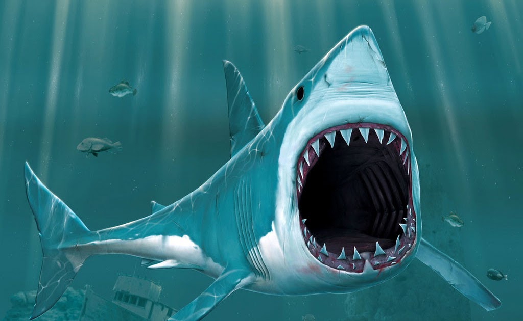 Dragon Ball Af Games Dragon Ball Af Games