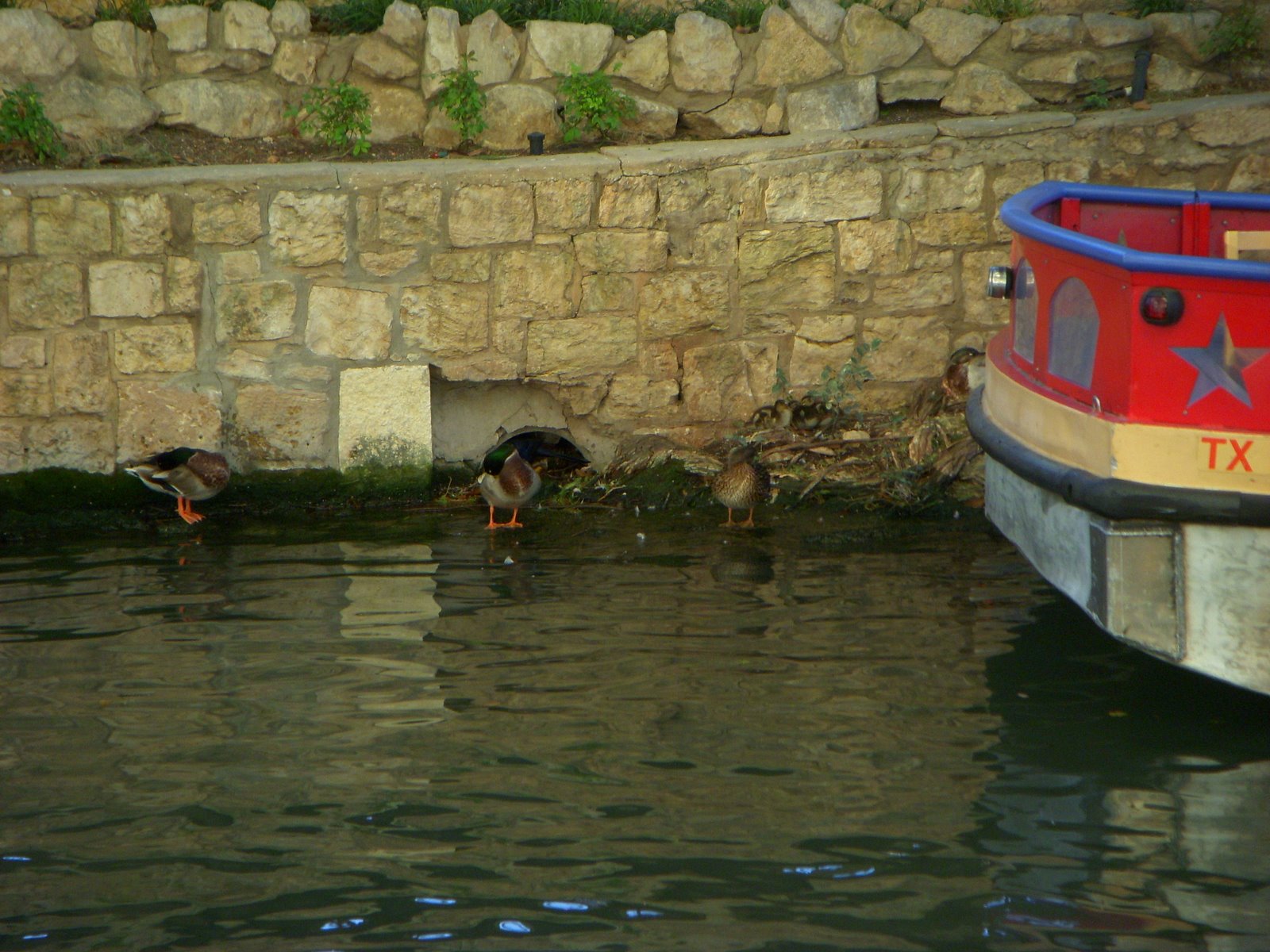 [DSCN0787.JPG]