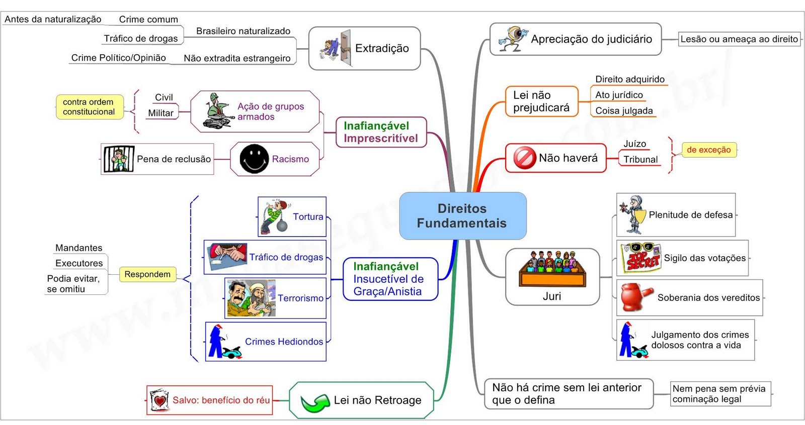 Artigo 5 constituicao