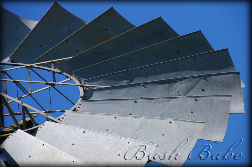 [mill_0137.jpg]