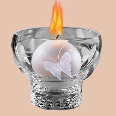http://2.bp.blogspot.com/_J5jEIflJEIs/SX76wQvM2bI/AAAAAAAABN4/BlGqFB5haZE/s400/la_vela_del_cancer.gif