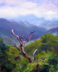 Blue Ridge Tree
