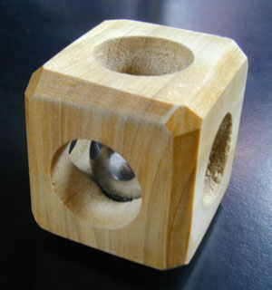 [ball_and_cage_1.jpg]