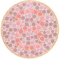 [colorblindtest2.gif]