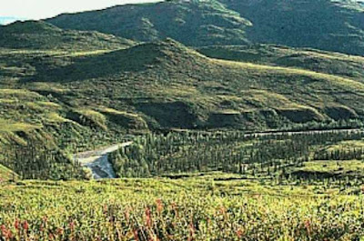 Smart Ebook Bioma Tundra