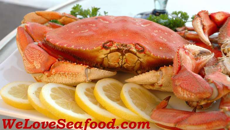 Kepiting