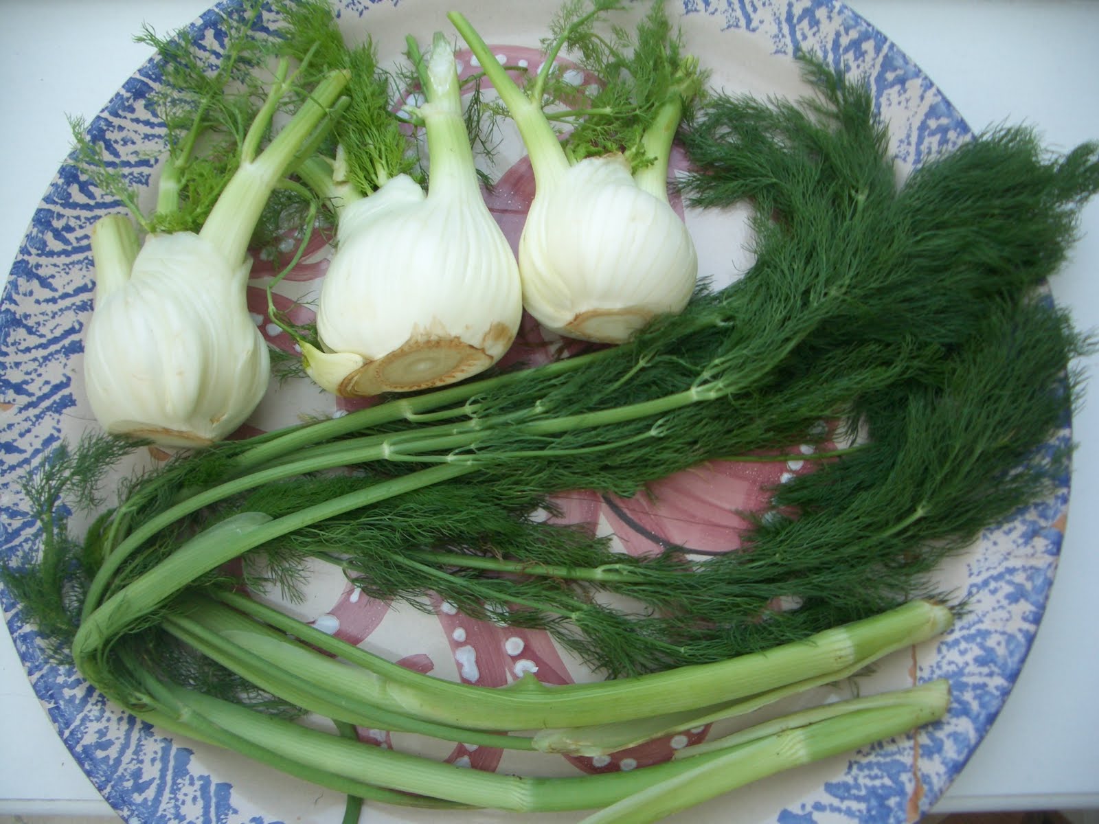 fennel fronds as a herb,
