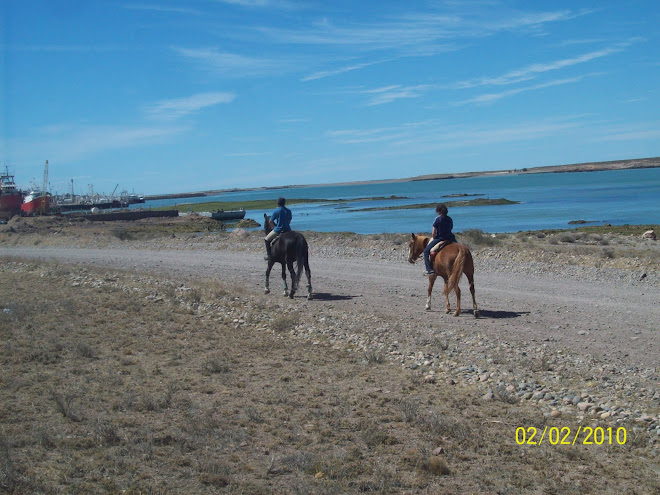 EL PUERTO Y LA RIA