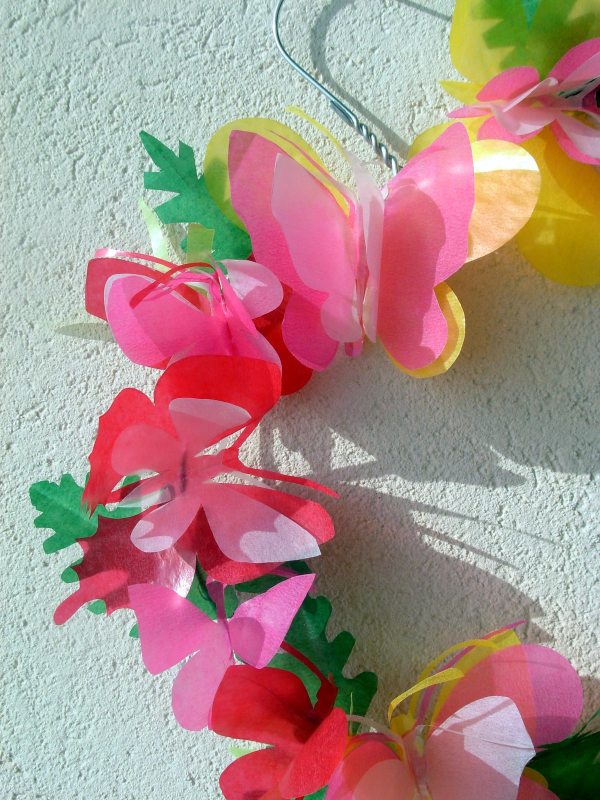 [DSCN3559.JPG]