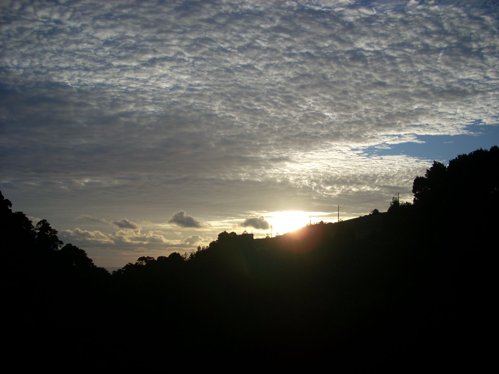 [DSCN0774.JPG]