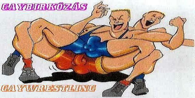 Gaybirkózás