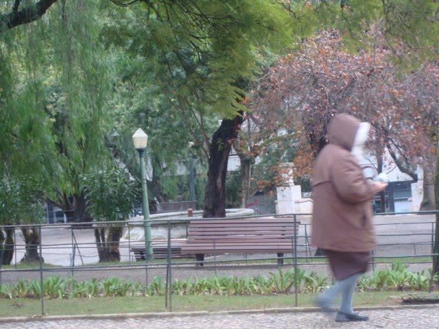 [DSC07144.JPG]