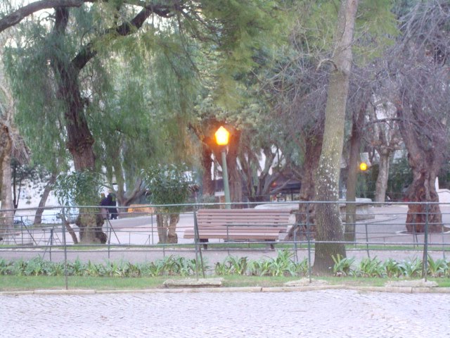 [DSC08013.JPG]