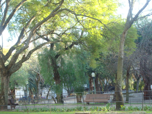 [DSC08014.JPG]