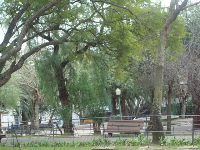 [DSC08034.JPG]