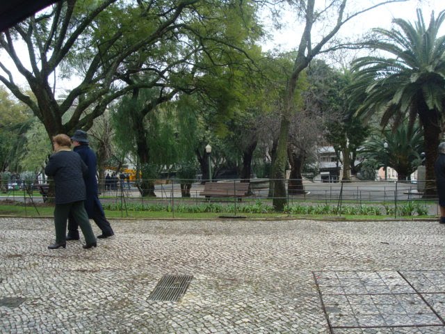 [DSC08156.JPG]