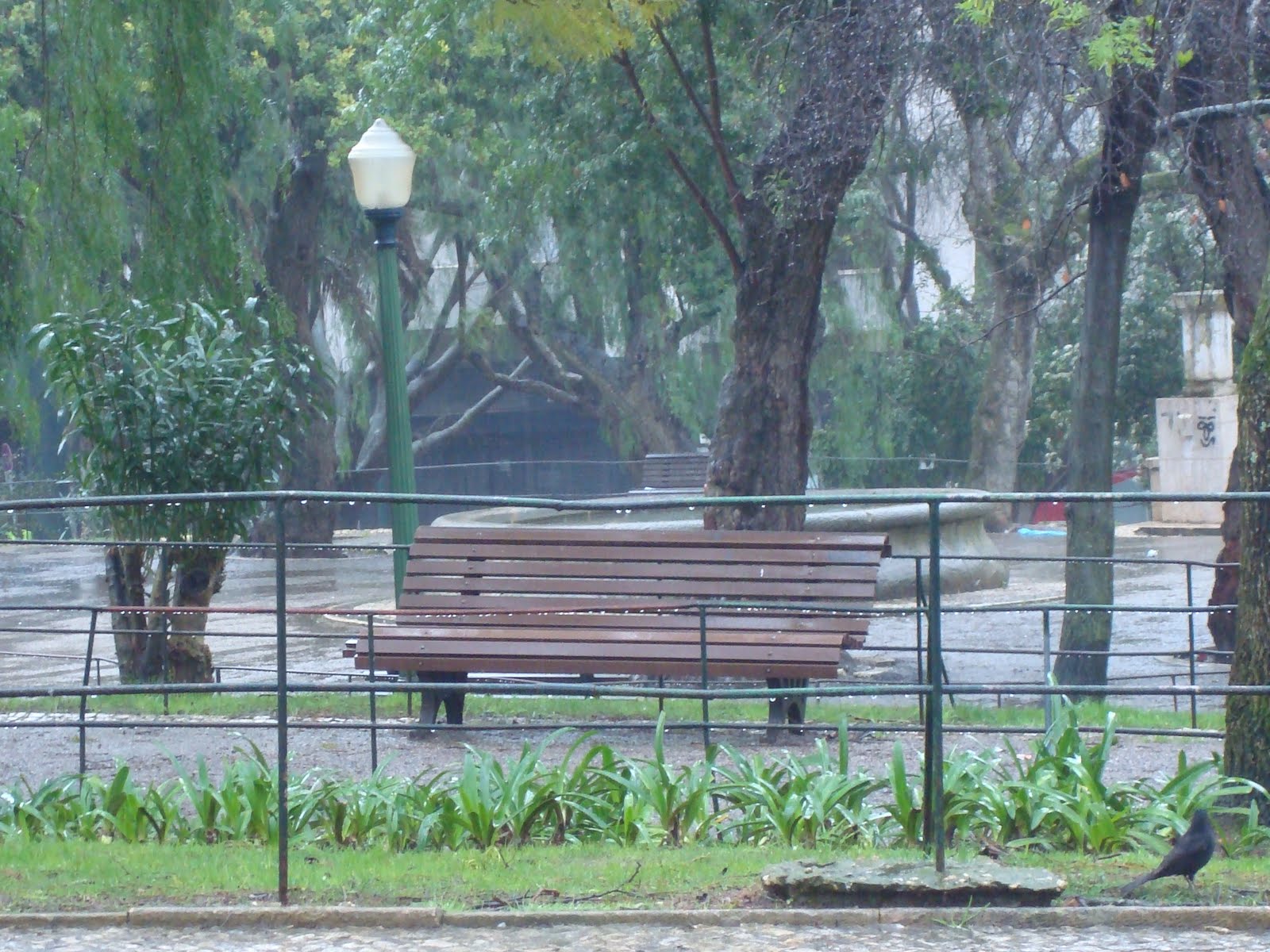 [DSC08627.JPG]