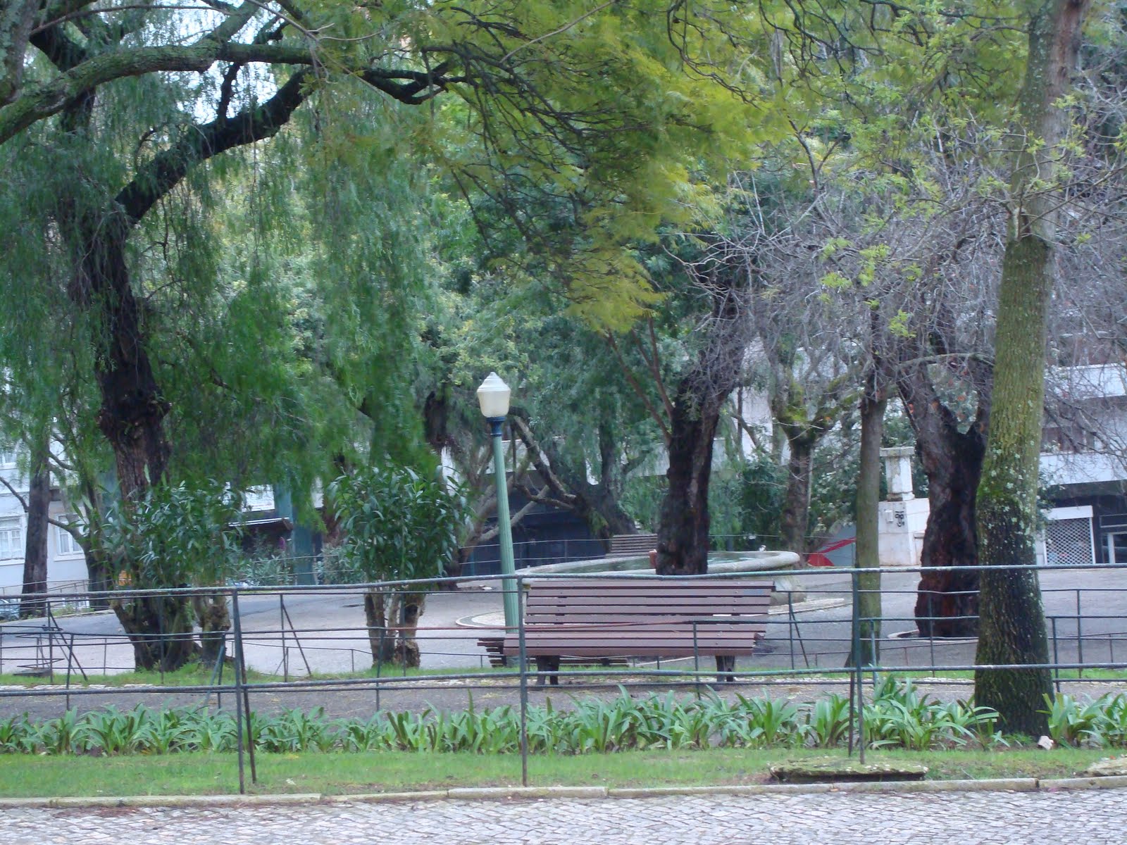 [DSC08565.JPG]