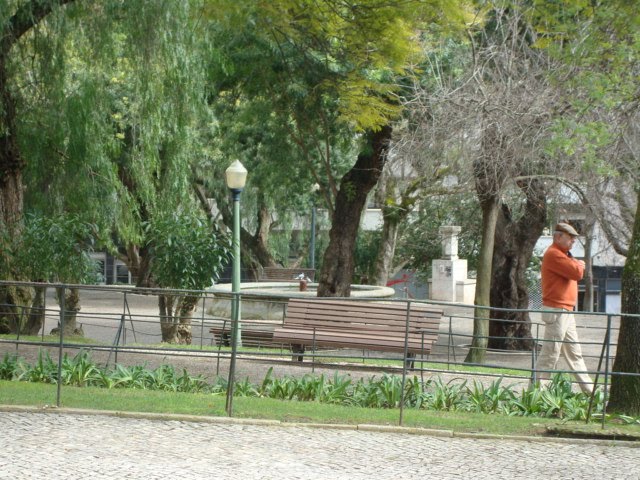 [DSC08711.JPG]