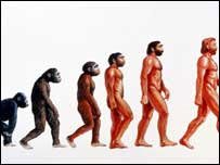 [evolution+(2).jpg]