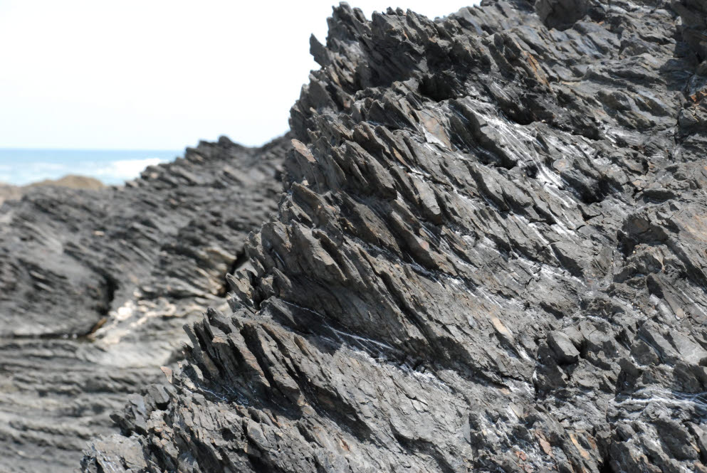 [DSC_9955.JPG]