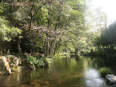 Rio+%C3%94lo+em+canadelo,+Amarante.JPG