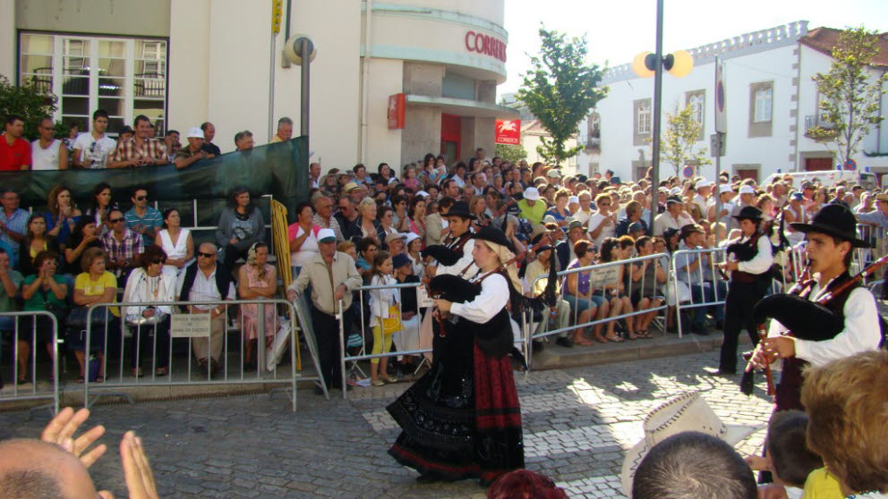 [DSC06015.JPG]