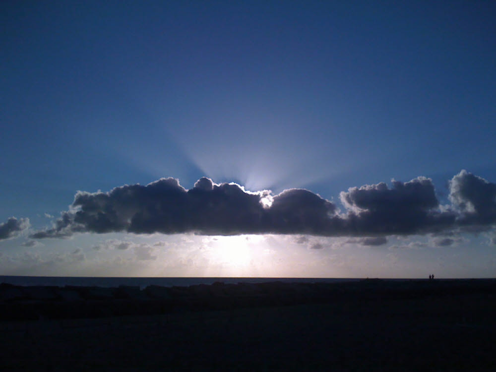 [IMG_0001.JPG]
