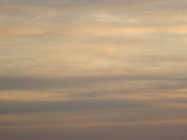 [DSC07022.JPG]