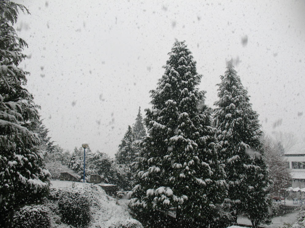[IMG_9329.JPG]
