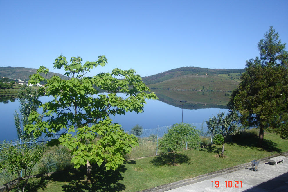 [DSC03243.JPG]