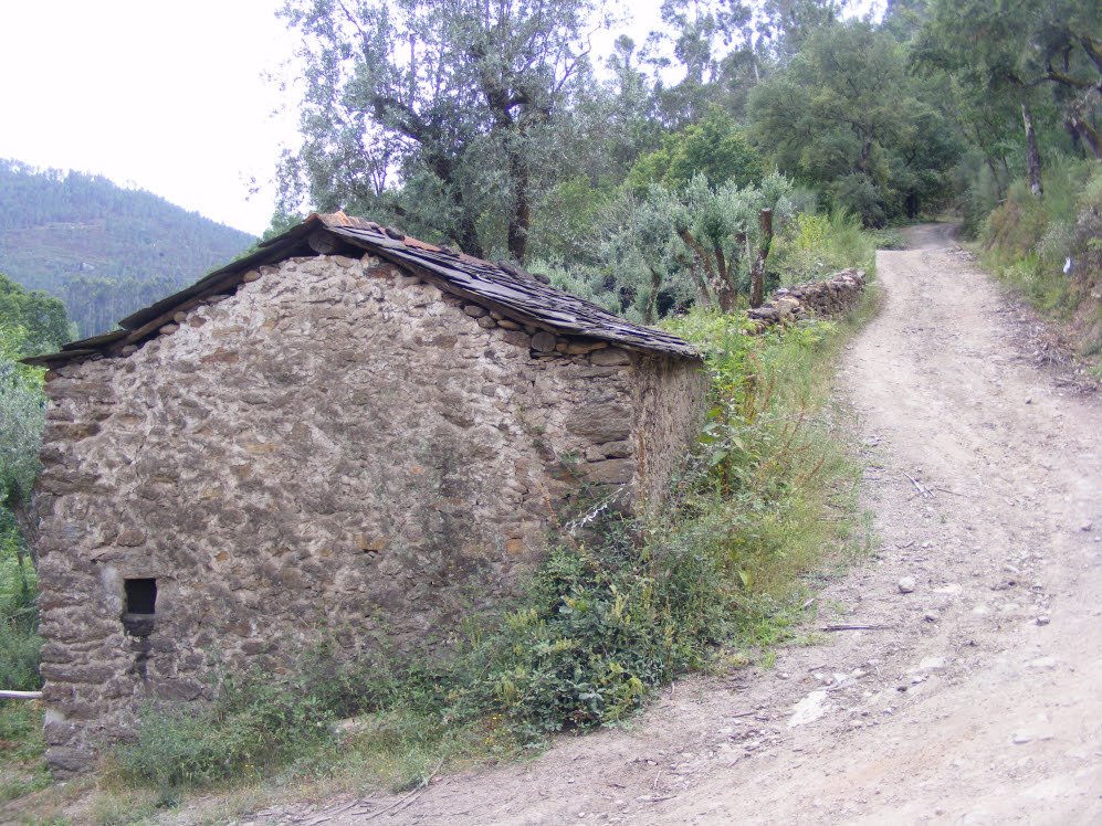 [DSCF7297.JPG]