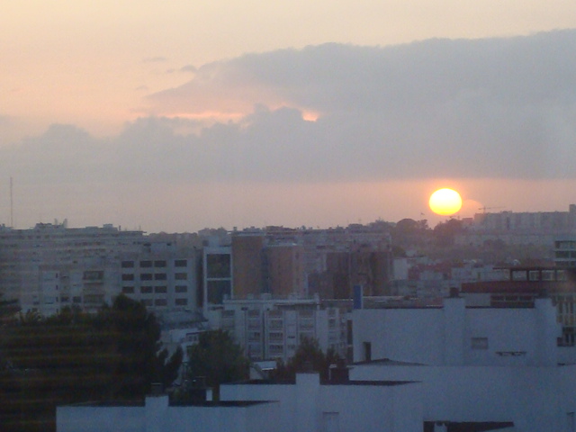 [DSC02298.JPG]
