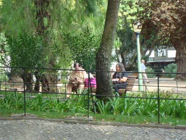 [DSC04817.JPG]