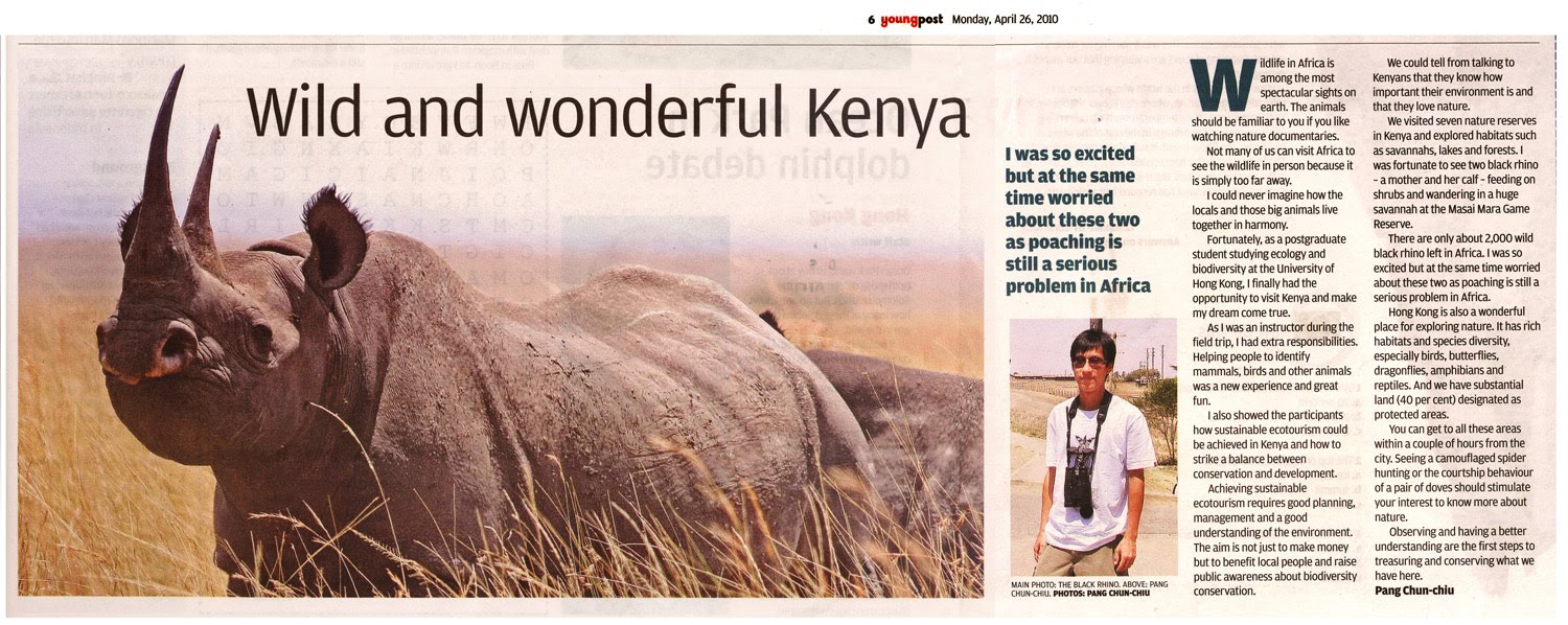 Diceros bicornis michaeli image