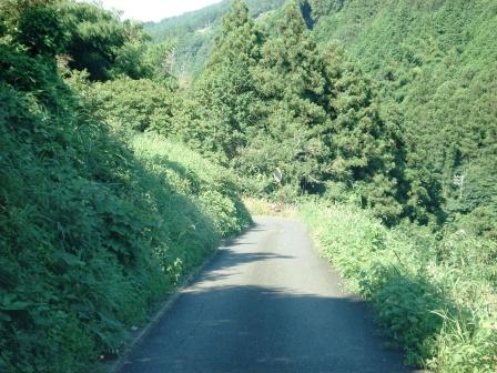[uchiko+road.JPG]