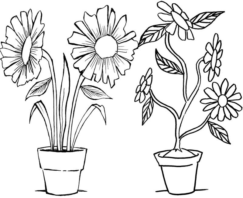 Featured image of post Vaso De Flor Desenho Para Colorir Home desenho imprimir desenho para crian as desenhos infantil flor risco risco de flor
