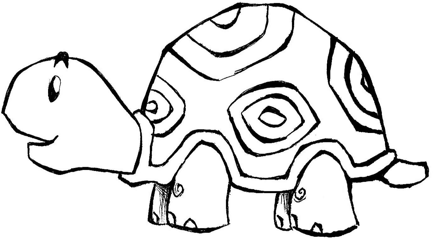 desenho de tartaruga para colorir muitos desenhos de animais para
