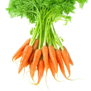[seed_Carrot.jpg]
