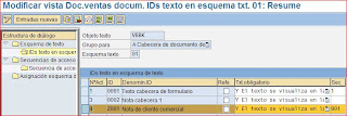 IDs esquemas texto