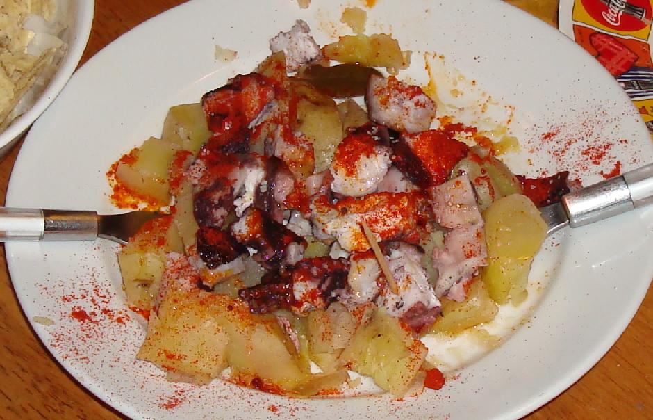 [pulpo.JPG]