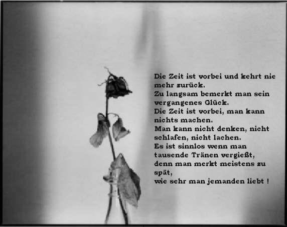 Psycho Coocky Die Zeit Heilt Alle Wunden