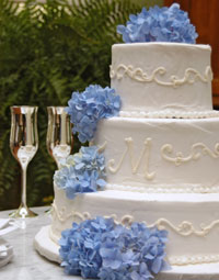 [blue-flower-wedding-cake.jpg]