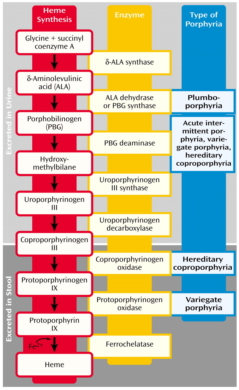 Porphyria Chart