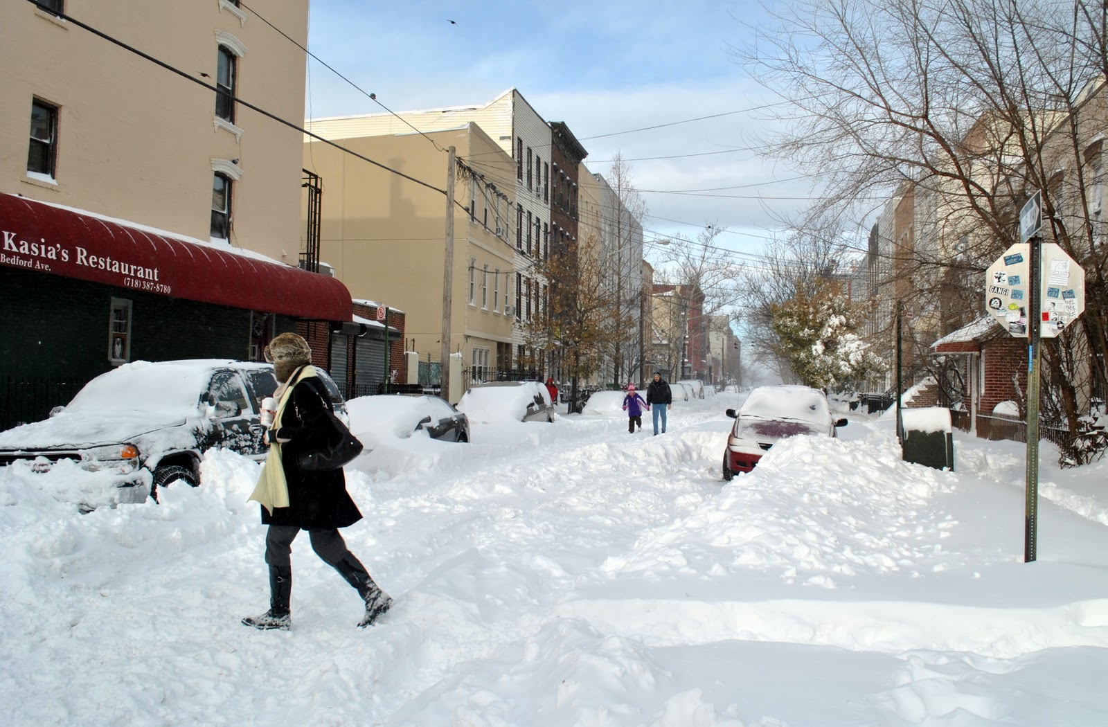 Malkinphoto New York City Snowstorm