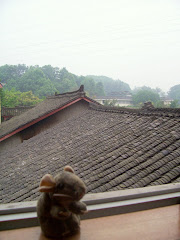 Marco looking out the window of our hostel in Emei Shan and hoping it won't rain!